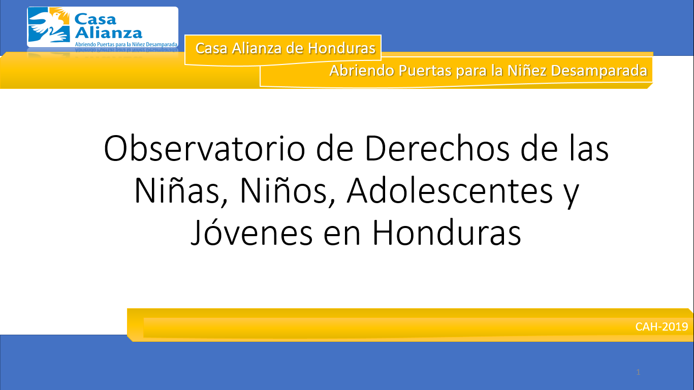 Sistematización de informes sobre la situación de Derechos de la Infancia año 2011