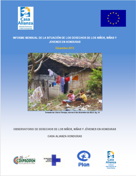 Informe Diciembre 2013