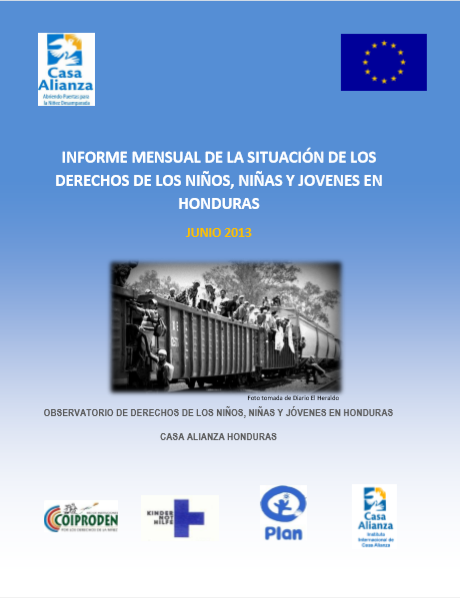 Informe Junio 2013