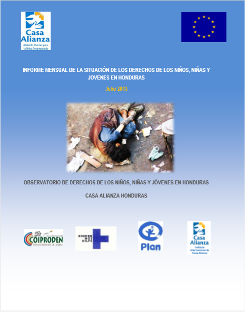 Informe Julio 2013