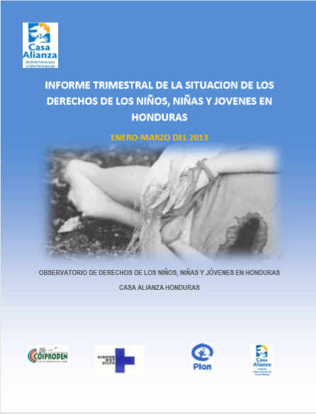 Informe Enero-Marzo 2013