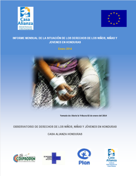 Informe Enero 2014