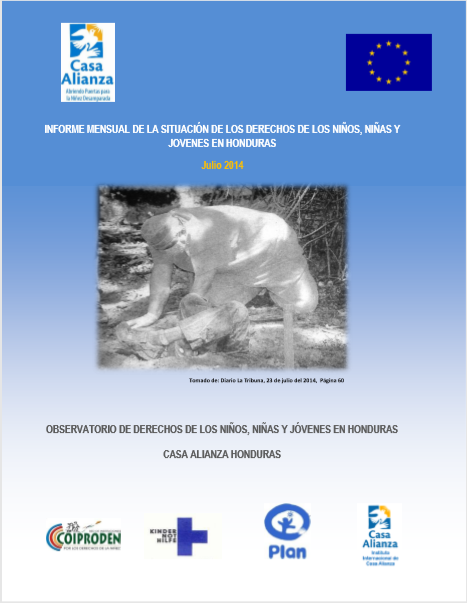 Informe Julio 2014